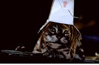 Кадр Стюарт Литтл 2