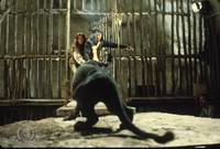 Кадр Сахара