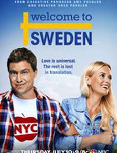 Добро пожаловать в Швецию