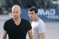 Кадр Бей в кость