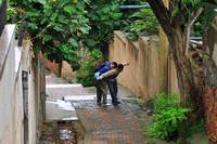 Кадр Рай океана