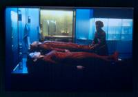 Кадр Клетка