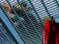 Кадр Красотки-головорезы (видео)