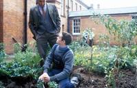 Кадр Настольная книга молодого отравителя