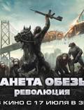 Постер из фильма "Рассвет планеты обезьян" - 1