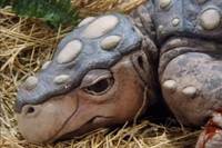 Кадр Возвращение в Затерянный Мир