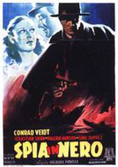 Шпион в черном