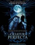 Постер из фильма "Идеальное создание" - 1