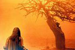 Шесть демонов Эмили Роуз