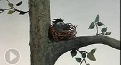 Мультфильм