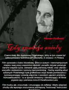 Когда падают ангелы