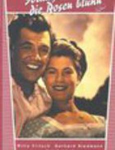 Solange noch die Rosen blüh'n