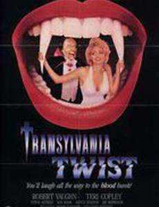 Поворот на Трансильванию