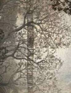 Дерево детства