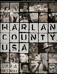 Округ Харлан, США