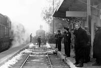 Кадр Прерванный шаг аиста