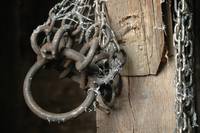 Кадр Чужой лес