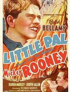 Маленький друг