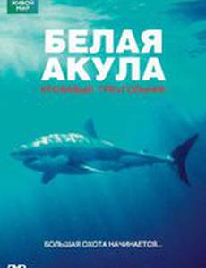 BBC: Белая акула. Кровавый треугольник