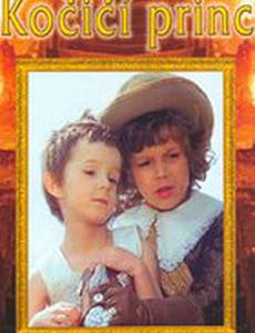 Кошачий принц