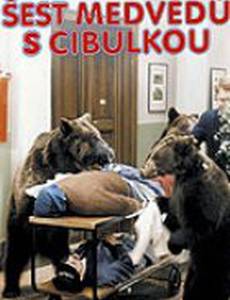 Шесть медведей и клоун Цибулка