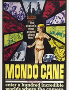 Собачий мир