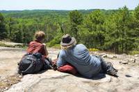 Кадр Прогулка по лесам