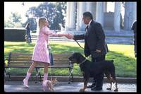 Кадр Блондинка в законе 2: Красное, белое и блондинка