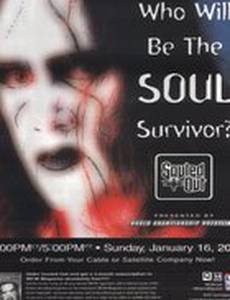 WCW Продажные души