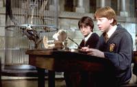 Кадр Гарри Поттер и Тайная комната