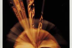 В пасти безумия