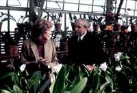 Кадр Будучи там