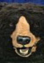 Майкл Гордон фото