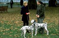 Кадр 101 далматинец