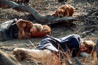 Кадр В плену песков