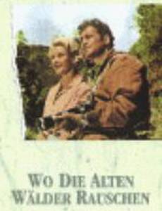 Wo die alten Wälder rauschen