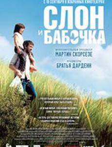 Слон и бабочка