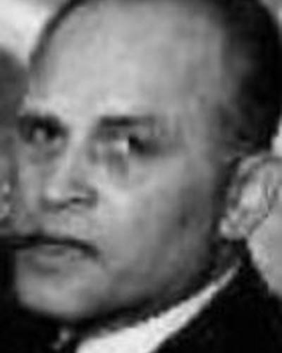 Jolly Kramer-Johansen фото