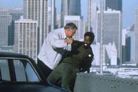 Кадр Пантера