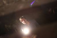 Кадр Грибы 3D