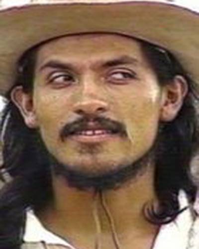 Вольфрамио Синуэ фото