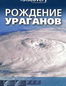 Discovery: Рождение... (мини-сериал)