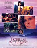 Постер из фильма "Гориллы в тумане" - 1