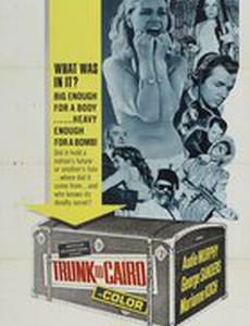 Операция в Каире