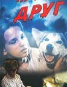 Пропал друг