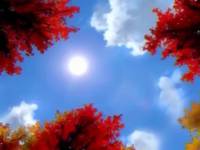 Кадр Мобильный воин Гандам: Судьба поколения