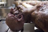 Кадр Ганнибал