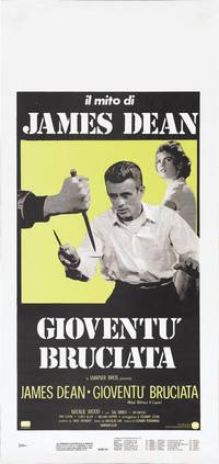 Постер Бунтарь без идеала