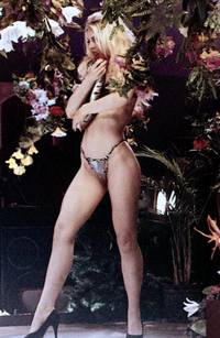 Кадр Showgirl Murders