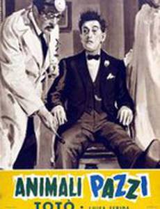 Сумасшедшие животные